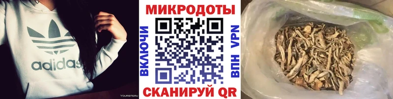 Галлюциногенные грибы Magic Shrooms  Купить закладки  Заречный 