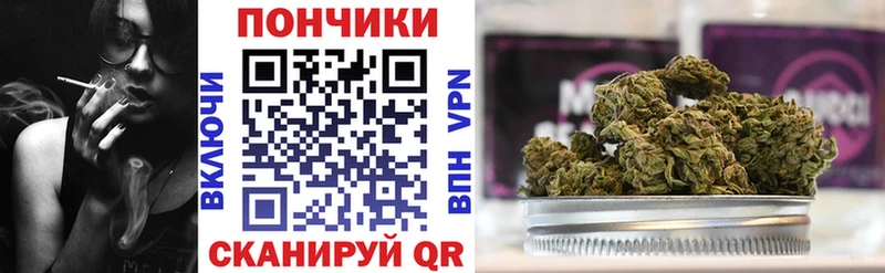 Купить где  Заречный  МАРИХУАНА SATIVA & INDICA 